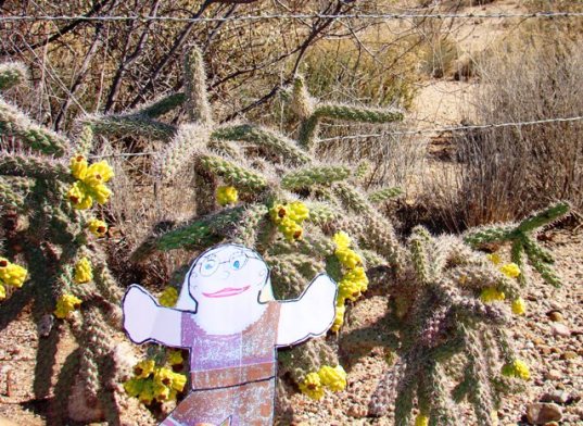 Flat Sarina visits Escapees Saguaro Coop in Benson Arizona
