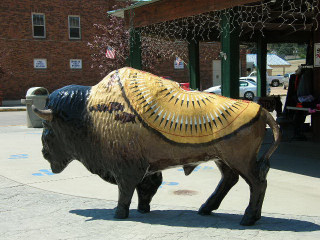 Buffalo Art on Display in Town of Custer