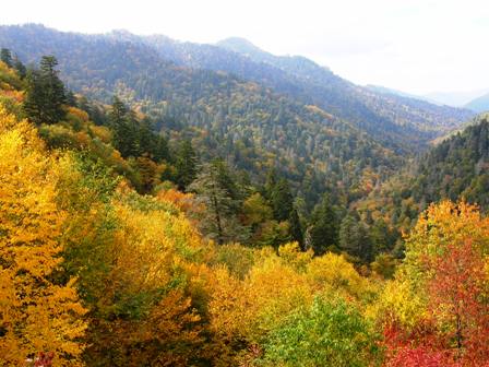 Great Smoky Mountains TN