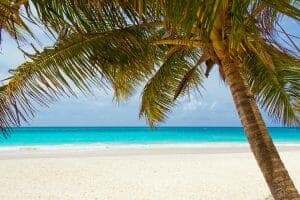 11 Kenyan Coast