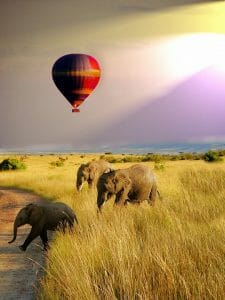36 Maasai Mara