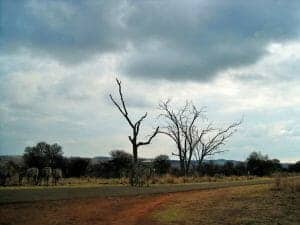4 Hells Gate