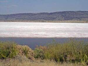 99 Lake Magadi