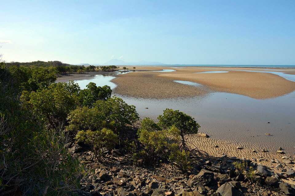 53. Cape Tribulation