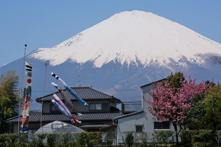 55. mt fuji gotemba satsuki may 1329448