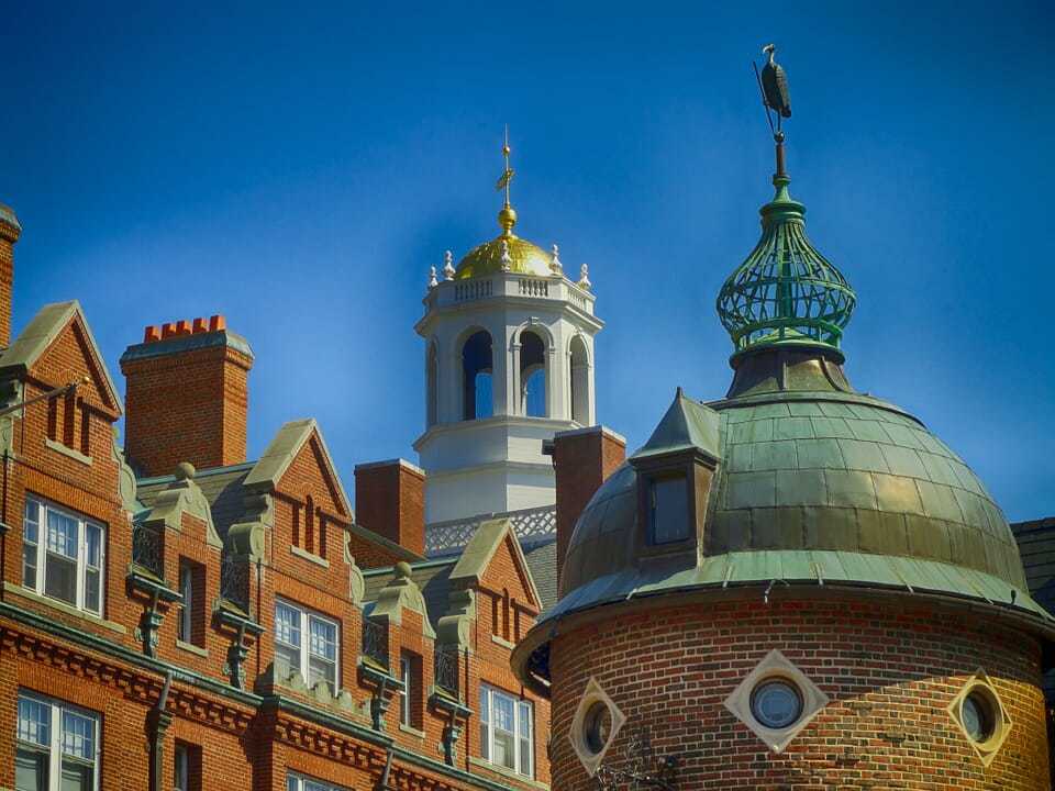 7. Harvard University