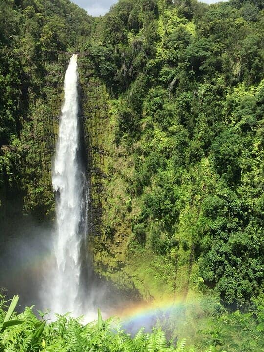 40. Akaka Falls