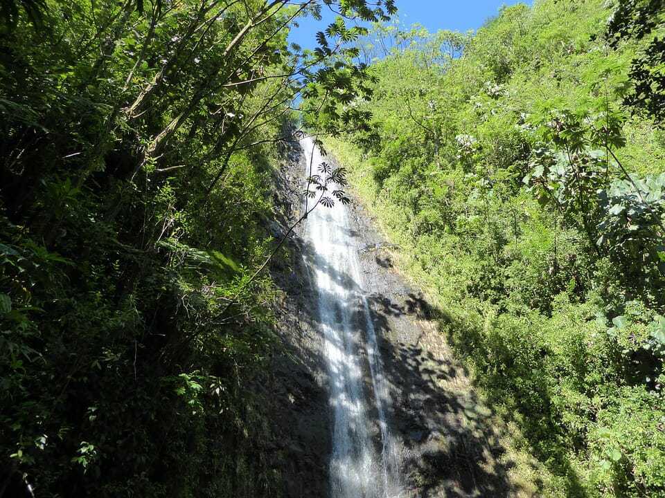 The old Paradise Park on O'ahu, where they filmed the bear cages scenes. It's under construction right now. It's the start of the Manoa Falls trail, which is closed right now. I