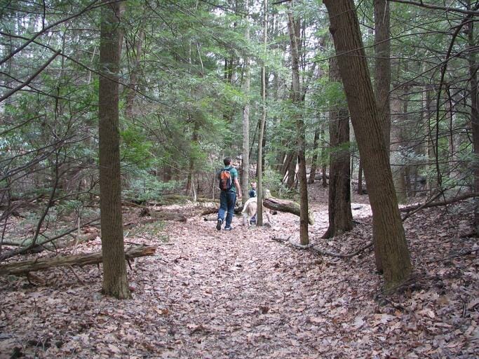 16. Ohiopyle State Park