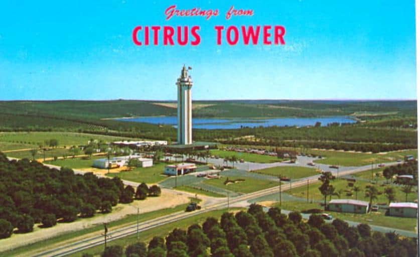 58. Citrus Tower