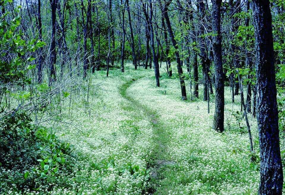 96. Appalachian trail