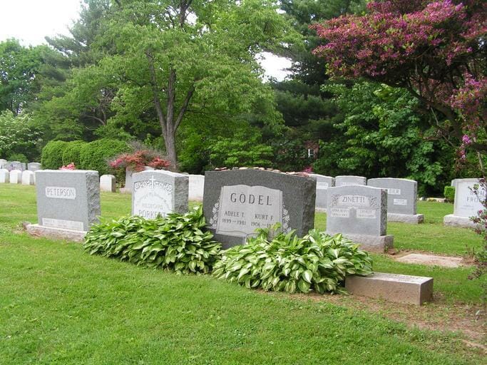 41. Princeton Cemetery