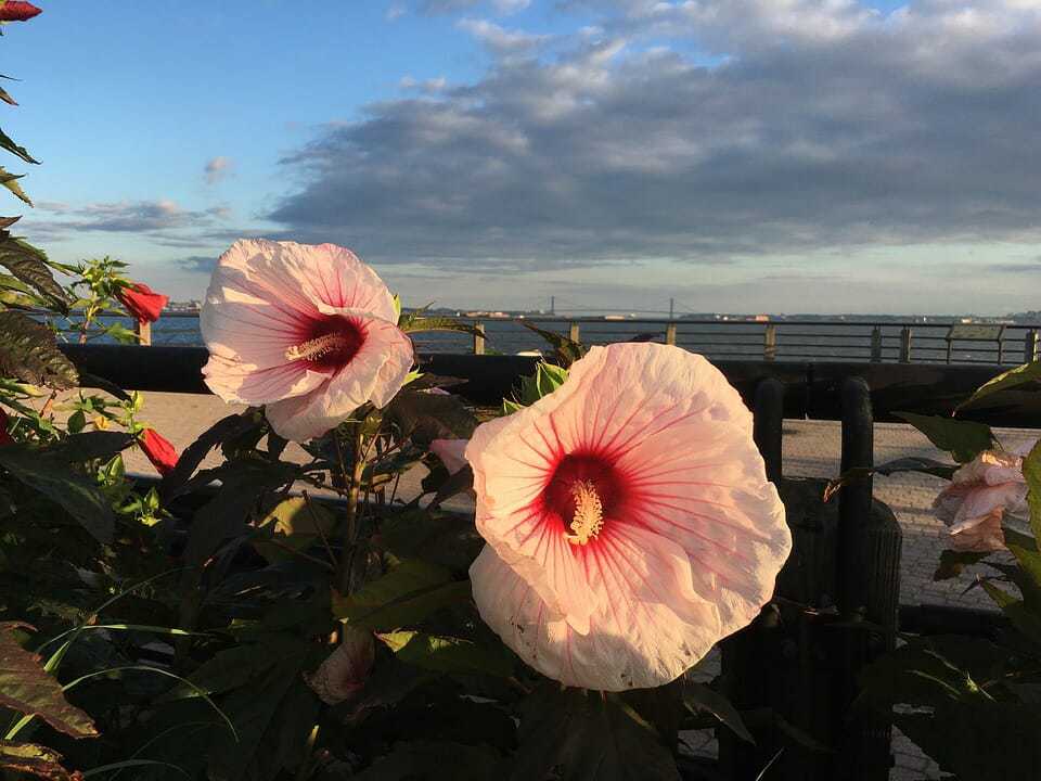 82. Liberty state park