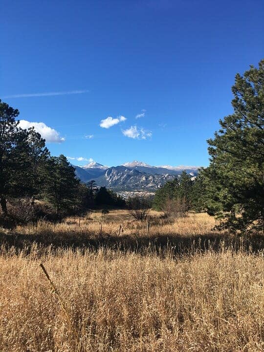 83. trail ridge road