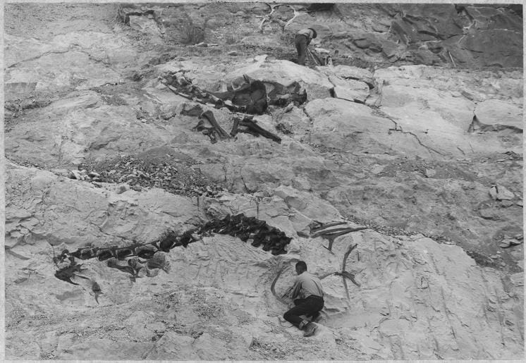 85. Dinosaur National Monument