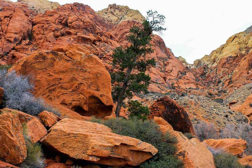 87. Red rocks park