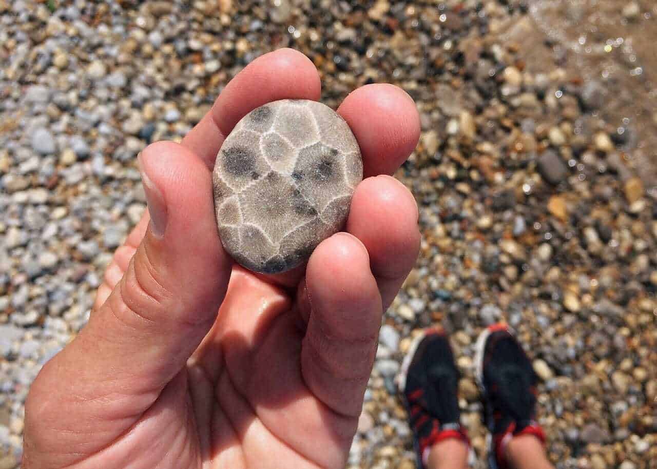 17. Petoskey Stone