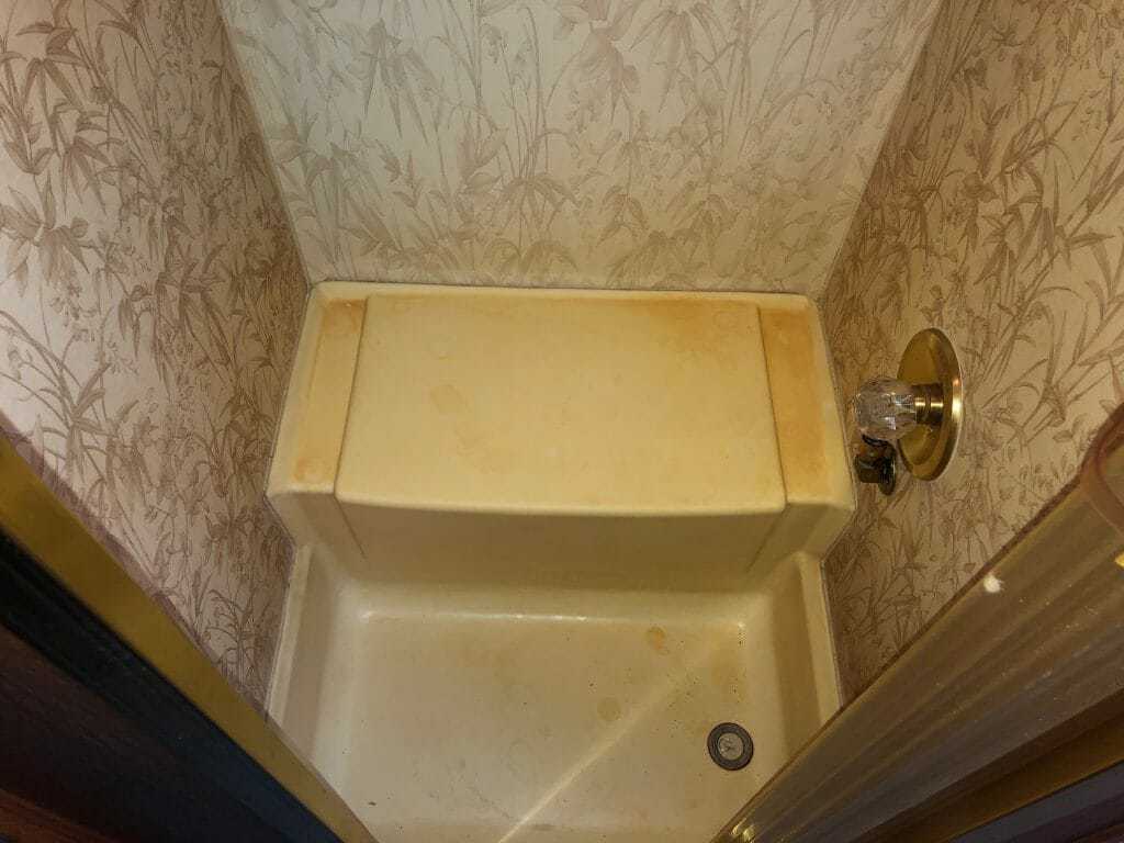 Shower Tub Before