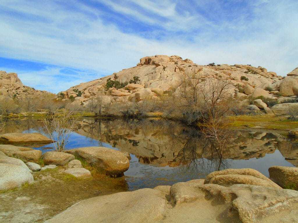 joshua tree rv camping 6