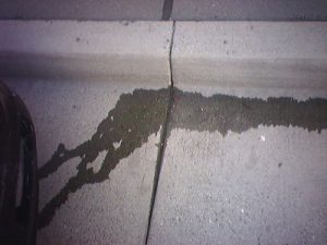 Pink Fluid Leaking from Car? A Color Coded Guide - Your RV Lifestyle