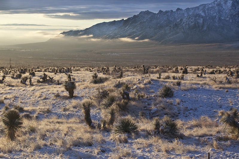 2. Aguirre Spring Campground