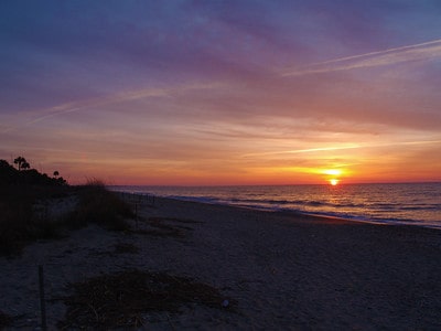 1. Edisto Island Beach State Park