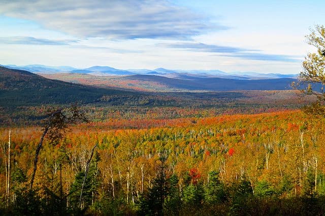 23. Great North Woods