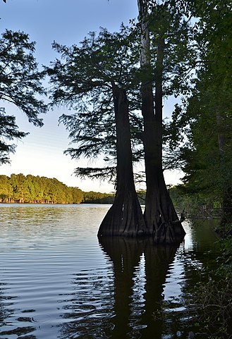 26. White Lake State Park