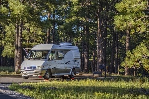 3. Forest camping