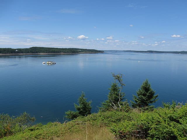 20. Cobscook Bay State Park