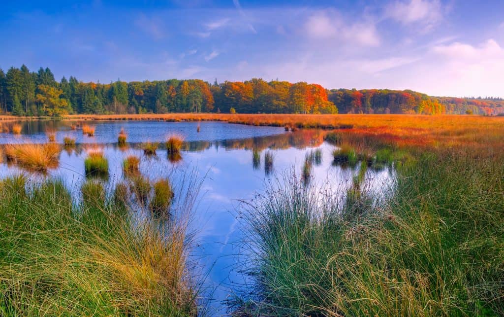5. Connecticut lakes