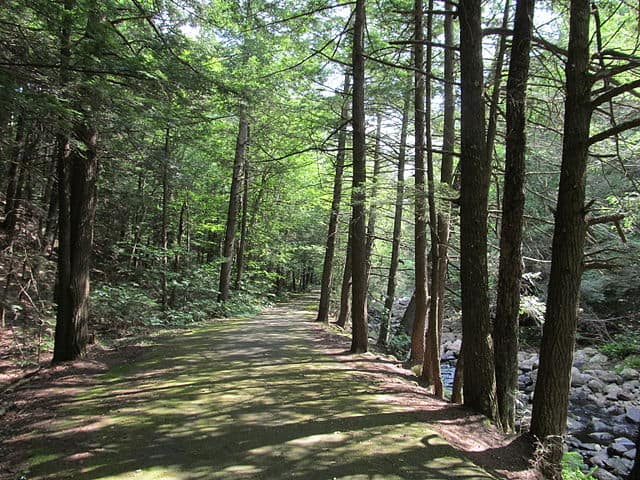 6. Granville State Forest
