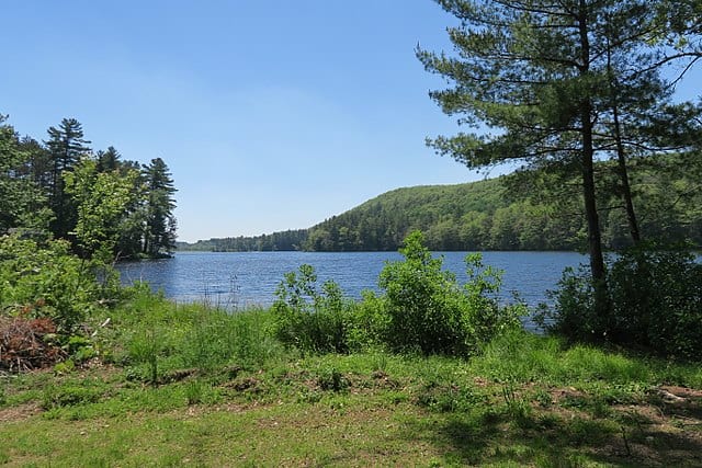 7. Walker Pond