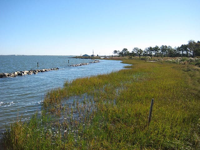 1. Indian River Bay