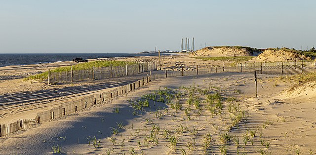 3. Delaware Seashore State Park