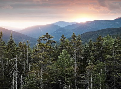 4. White Mountain National Forest