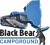 50x50 BlackBearLogo vert